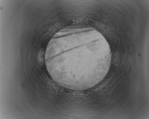 X0000085740770200704091509