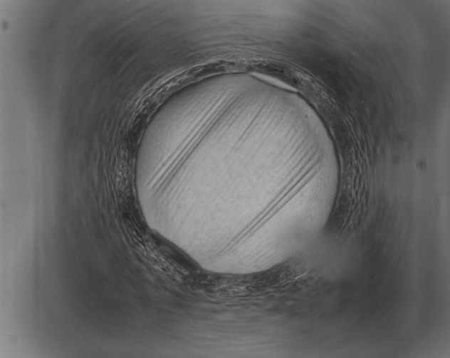 X0000085740773200704091509