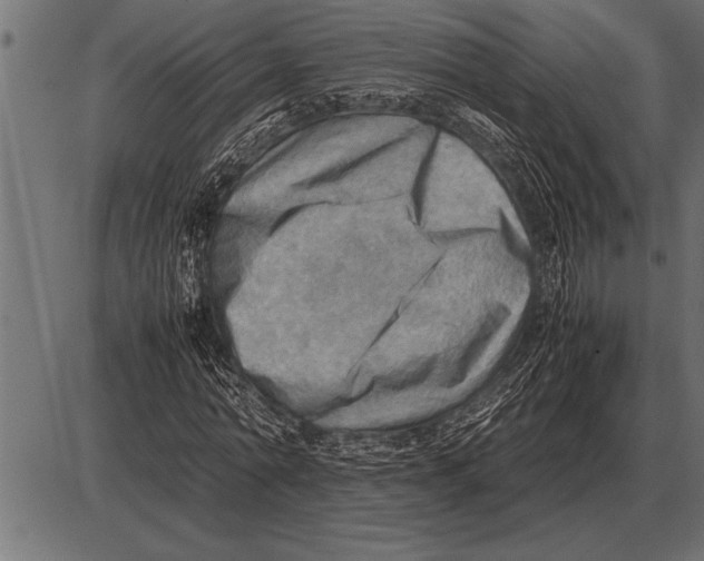 X0000085740774200704091509
