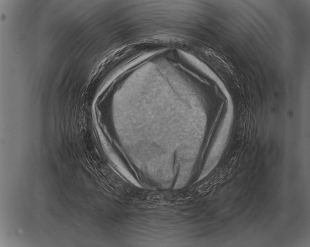 X0000085740776200704091509