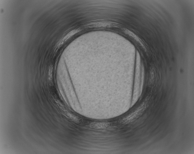 X0000085740778200704091509