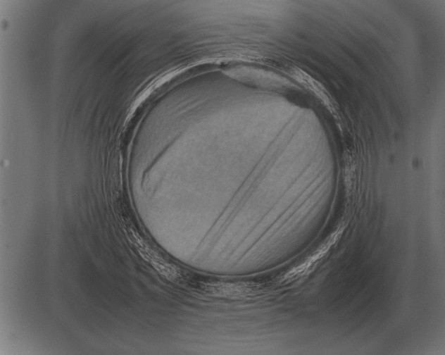 X0000085740781200704091509