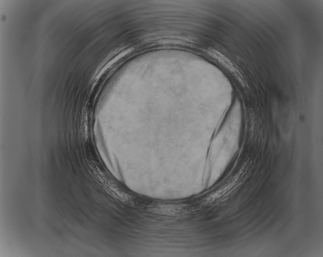 X0000085740782200704091509