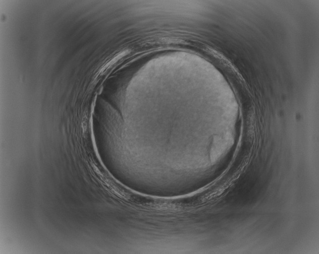 X0000085740785200704091508