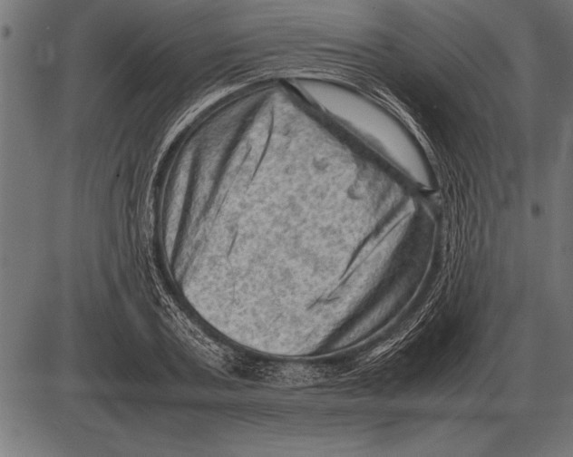 X0000085740787200704091508