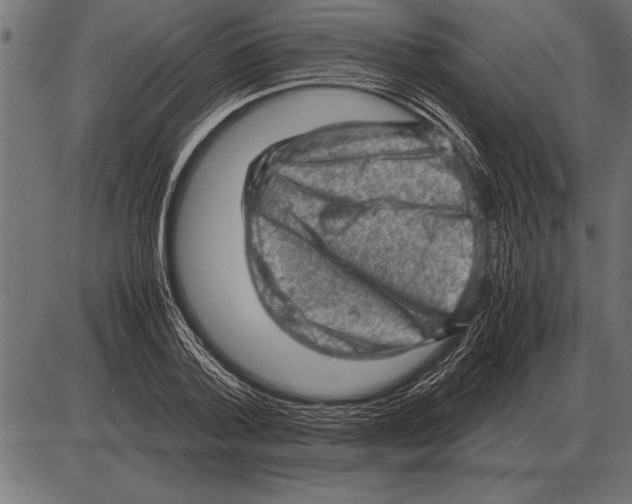 X0000085740788200704091508