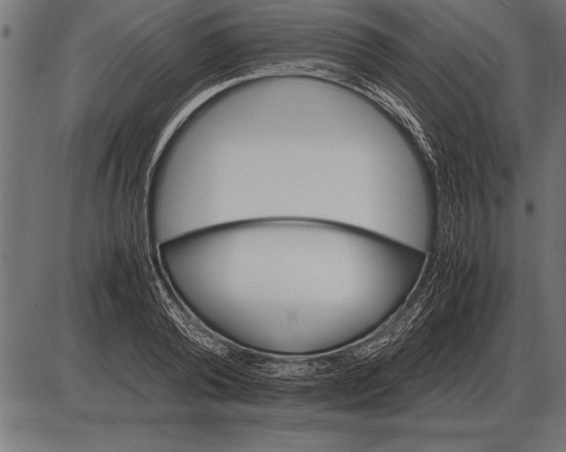 X0000085740792200704091508