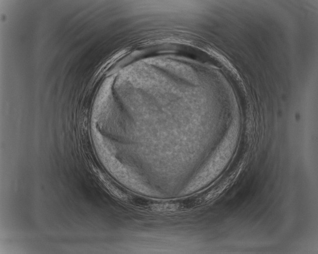 X0000085740793200704091508