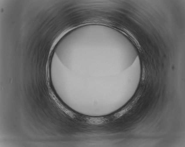 X0000085740796200704091508