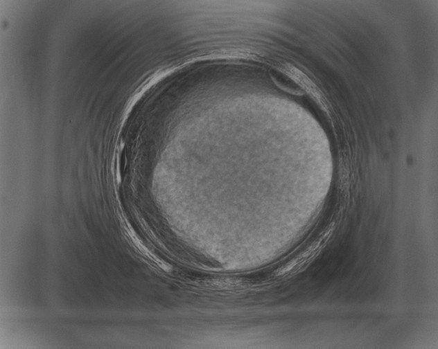 X0000085740797200704091508