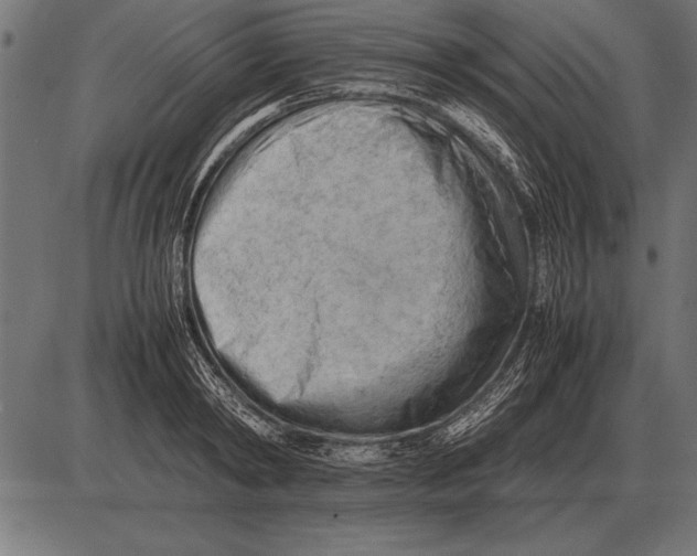 X0000085740798200704091508
