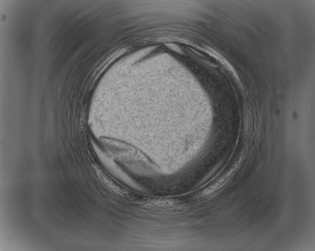 X0000085740801200704091508
