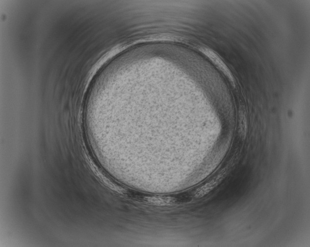 X0000085740805200704091508