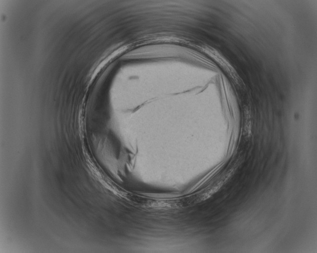 X0000085740806200704091508