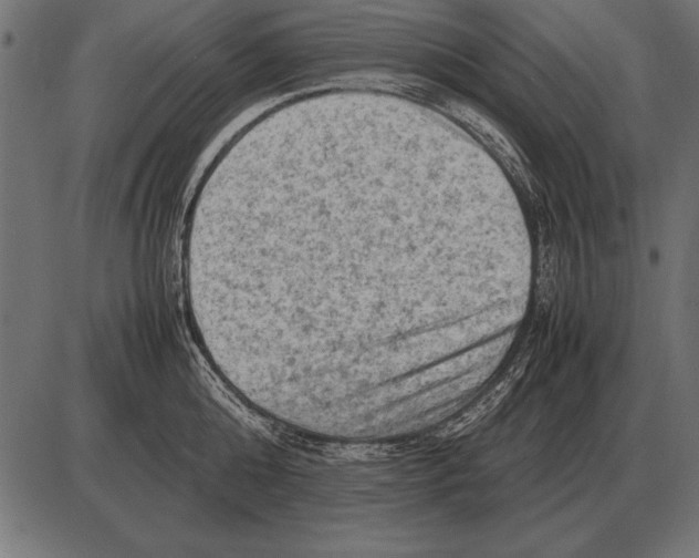 X0000085740808200704091508