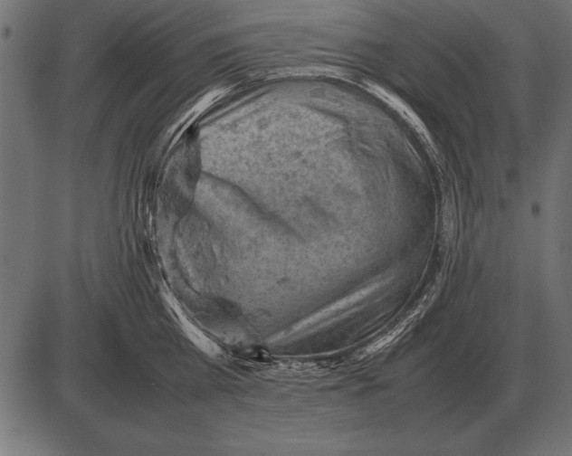 X0000085740809200704091508