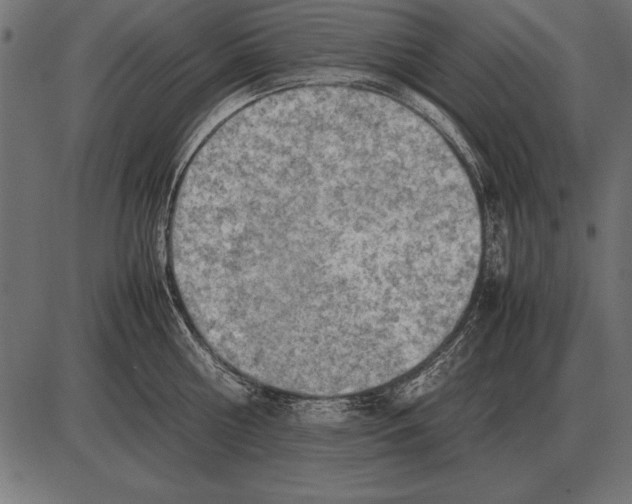 X0000085740810200704091508