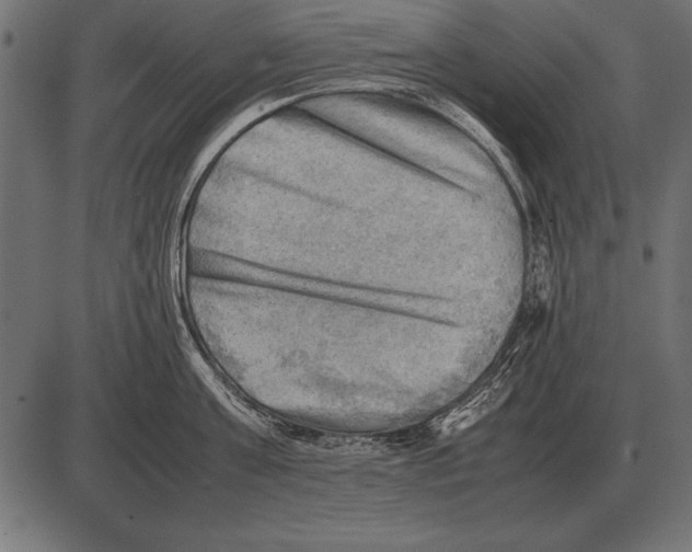 X0000085740811200704091508