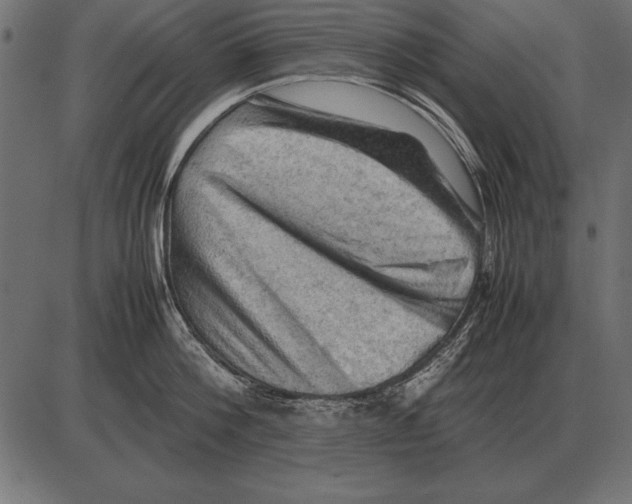 X0000085740812200704091508