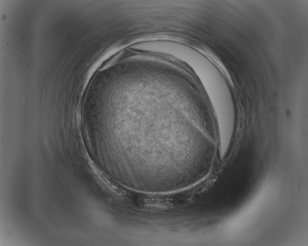 X0000085740813200704091508