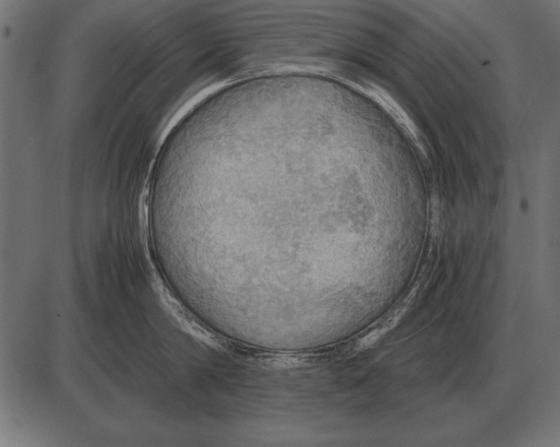 X0000085740814200704091508