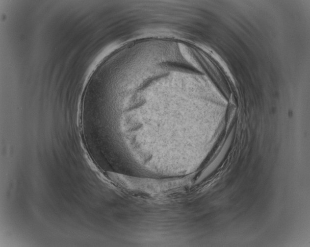 X0000085740815200704091508