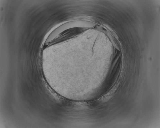 X0000085740816200704091508