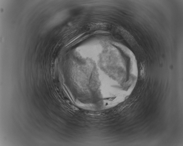 X0000085740819200704091507