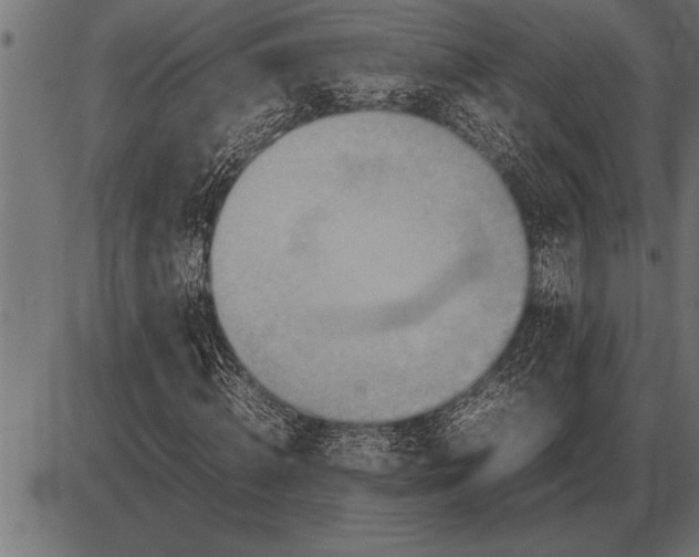 X0000085740820200704091507