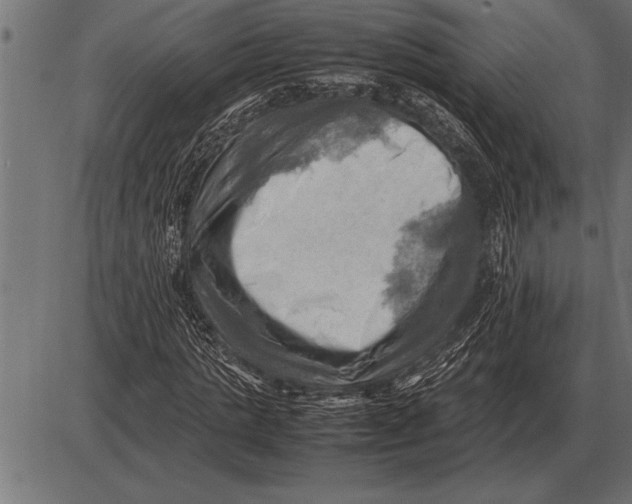 X0000085740821200704091507