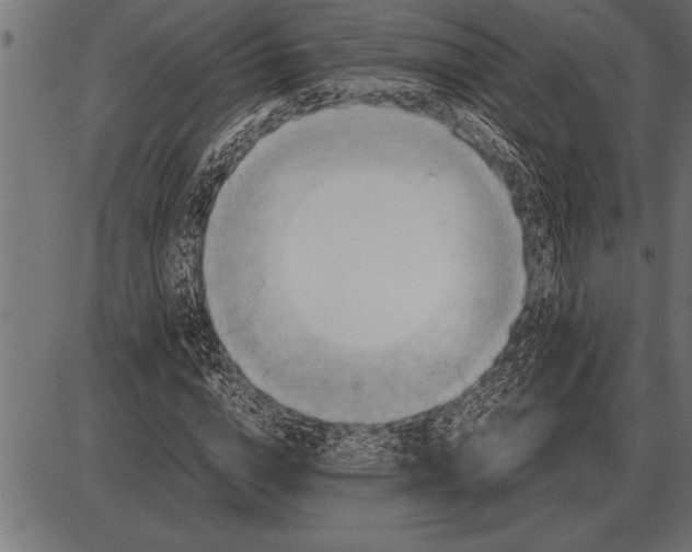 X0000085740824200704091507