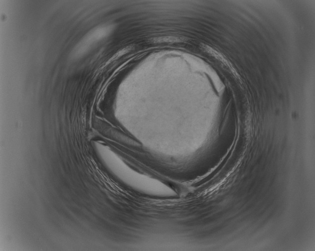 X0000085740825200704091507