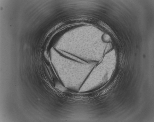 X0000085740826200704091507
