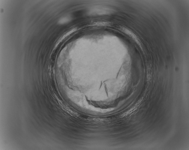 X0000085740827200704091507