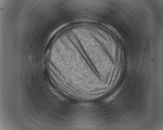 X0000085740830200704091507