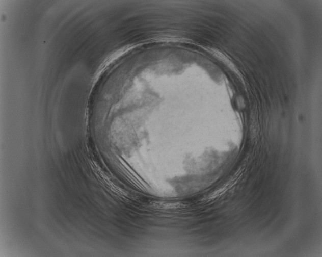X0000085740831200704091507