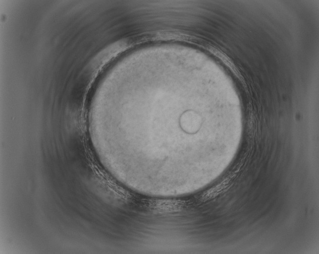 X0000085740832200704091507