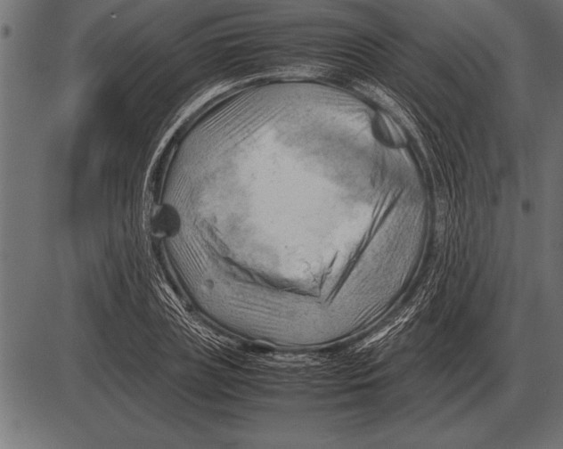 X0000085740835200704091507