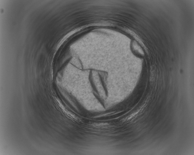 X0000085740837200704091508