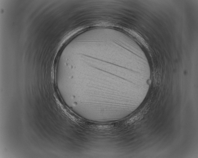 X0000085740839200704091508