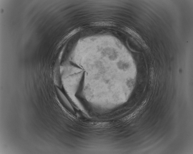 X0000085740841200704091508