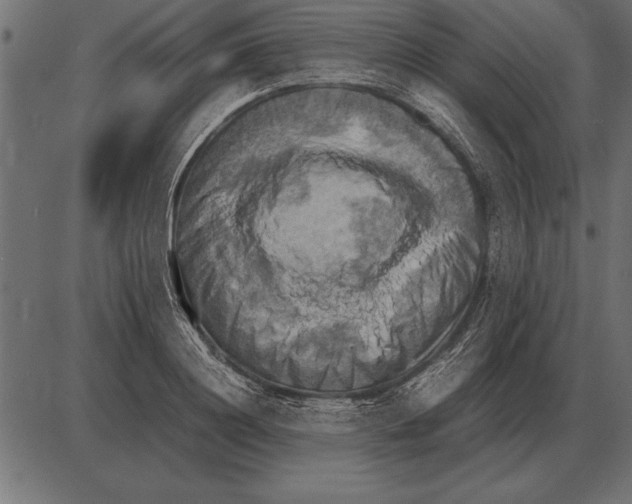 X0000085740844200704091508