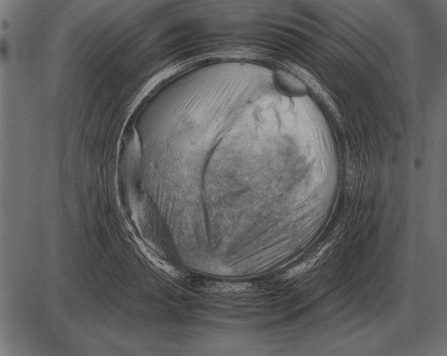 X0000085740845200704091508