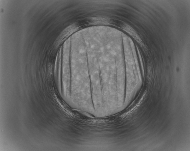 X0000085740849200704091508