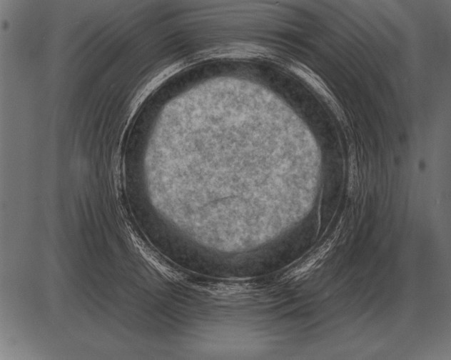 X0000085740850200704091508