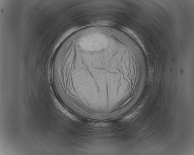 X0000085740851200704091508