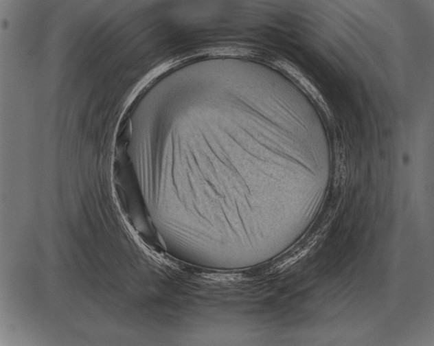 X0000085740853200704091508