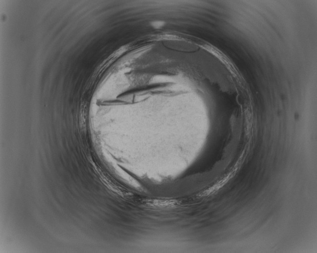X0000085740857200704091508