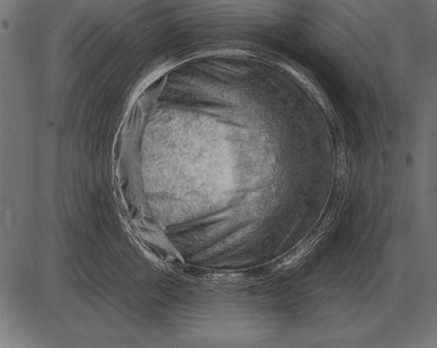 X0000085740858200704091508