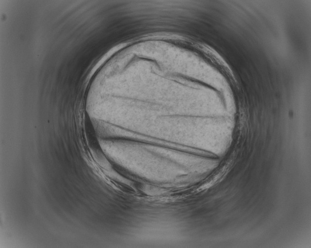 X0000085740860200704091508
